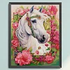 (US Only)Horse Printed Cross Stitch Kit 43x55cm DIY 14CT Thread Art Needlework Wall Decor