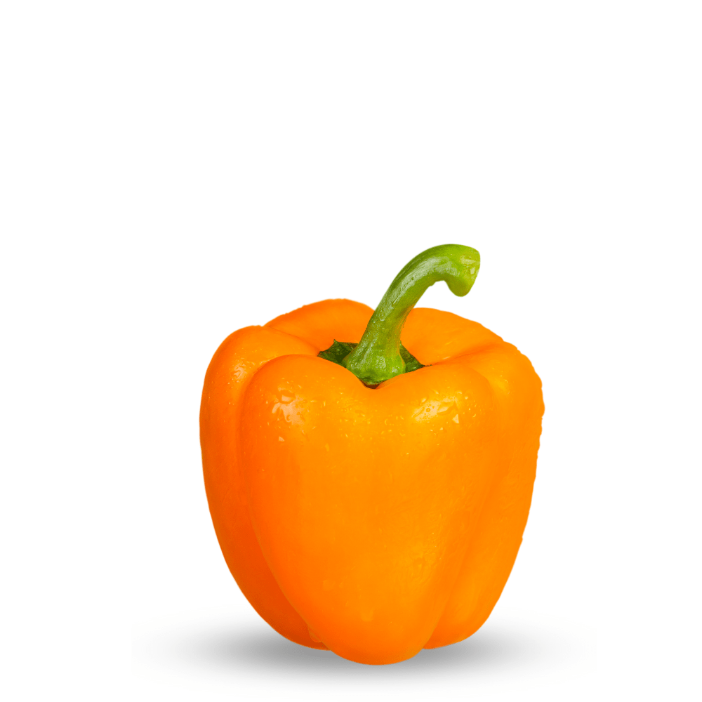 Heirloom Orange Capsicum Seeds &ndash; Exotic Sweet Pepper (Orange)
