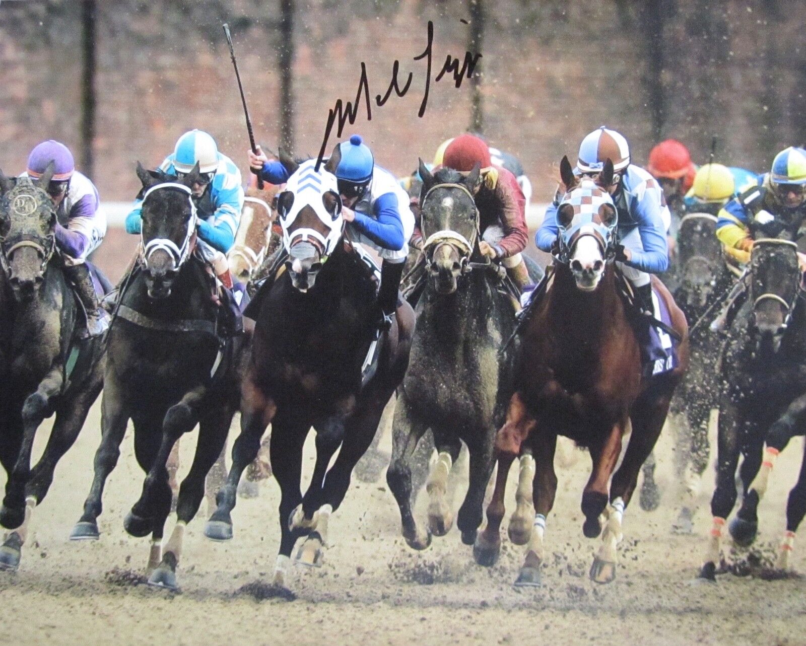MIKE LUZZI AUTOGRAPHED SIGNED HORSE RACING Photo Poster painting 8 X10 w/COA & HARD TOP LOADER