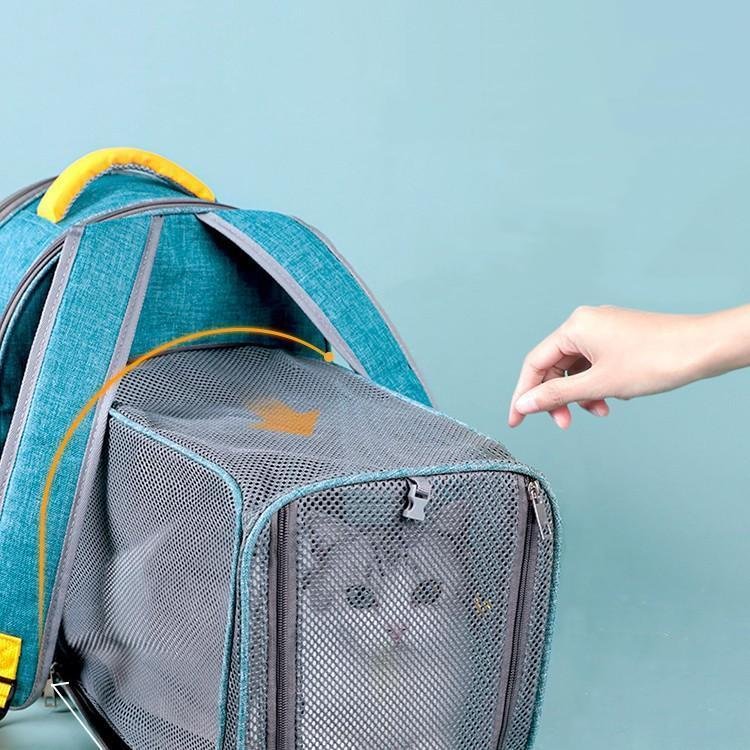 Cat Backpack Expandable Portable Pet carrier Bag