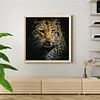 uk.everydayedeals (Limited Stock)Paint By Number - Oil Painting -  Leopard (40*40Cm)