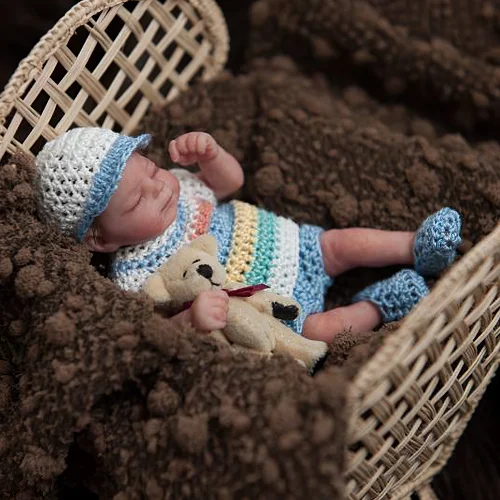 Miniature Doll Sleeping Reborn Baby Doll, 6 inch Realistic Newborn Baby Doll Girl Named Gracie