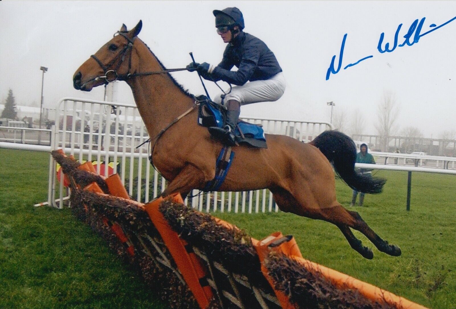 Norman Williamson Hand Signed 12x8 Photo Poster painting - Horse Racing Autograph 5.