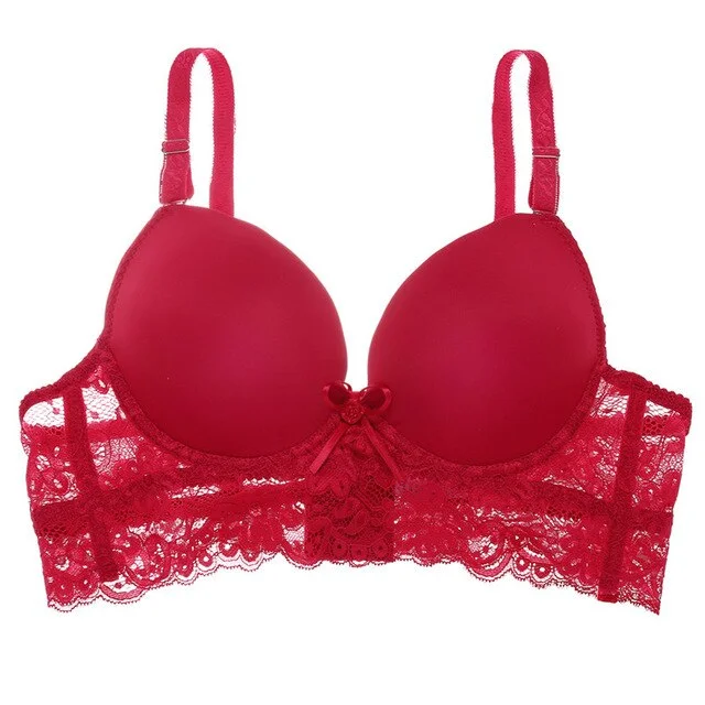 Lace Bras For Women Brassiere Underwire Bralette Sexy Ultra Thin Underwear Plus Size C D cup Lingerie Floral Female Bras