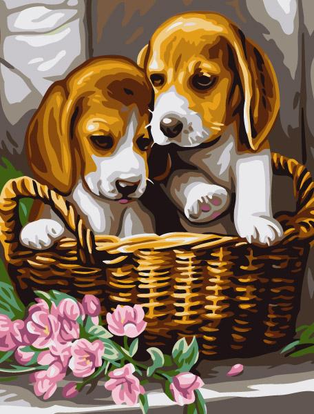 

Dog Puppys In Basket – Paint By Numbers - 40*50CM, 501 Original
