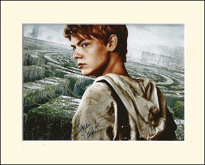 THOMAS SANGSTER MAZE RUNNER 2 PP 10X8 MOUNTED SIGNED AUTOGRAPH Photo Poster painting PRINT