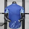 Joyfball 2025/2026 Player Version AFC Ajax Away Football Shirt 1:1 Thai Quality（The player version jersey is a bit tight, please pay attention to the size selection）