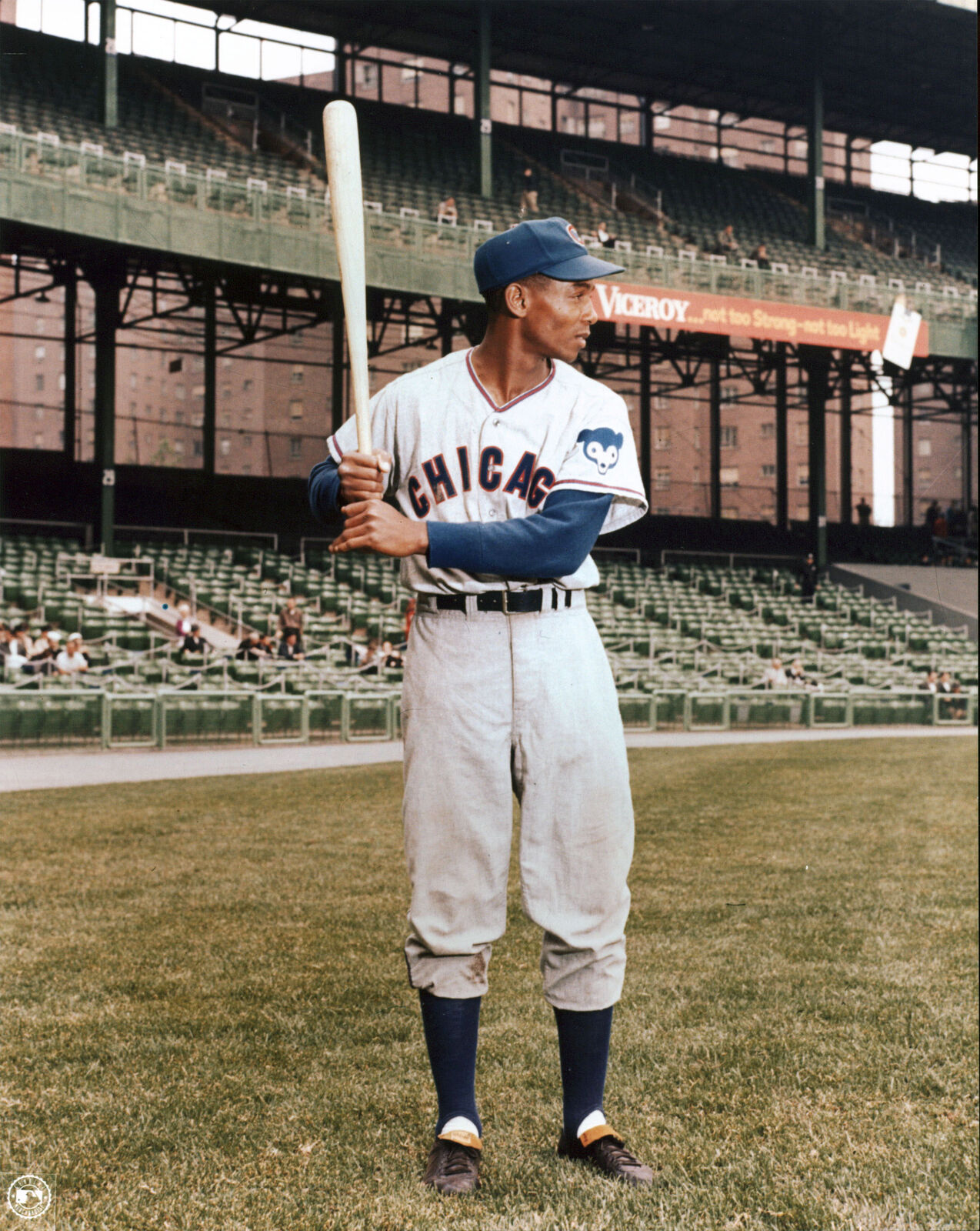 Cubs Ernie Banks 8x10 Photo Poster paintingFile Grey Jersey Batting Stance Photo Poster painting Un-signed