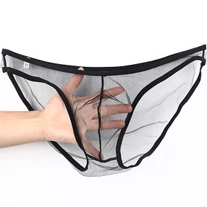 Men's Low Rise Sexy Mesh Sheer See Through Breathable Briefs