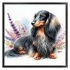 Dachshund-11CT Stamped Cross Stitch 40*40cm/15.75*15.75in