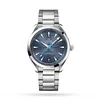 OMEGA Seamaster Aqua Terra Co-Axial Master Chronometer 41mm Ladies Watch O22010412103002