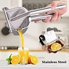 Manual Fruit Juicer
