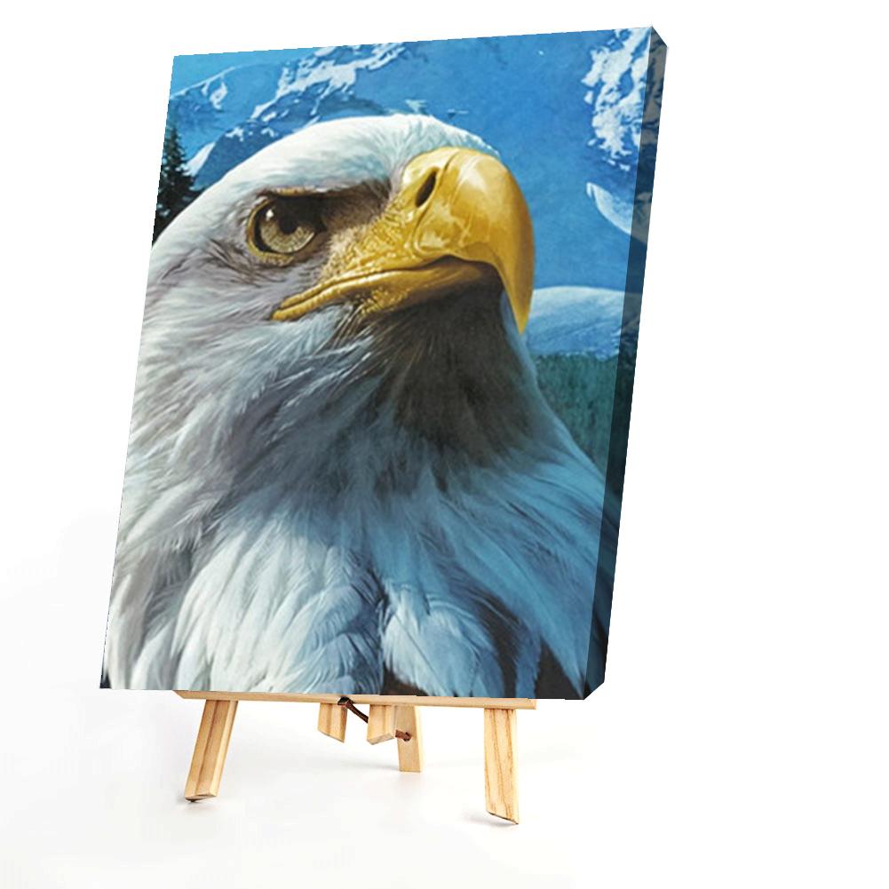Eagle  - Painting By Numbers - 40*50CM gbfke
