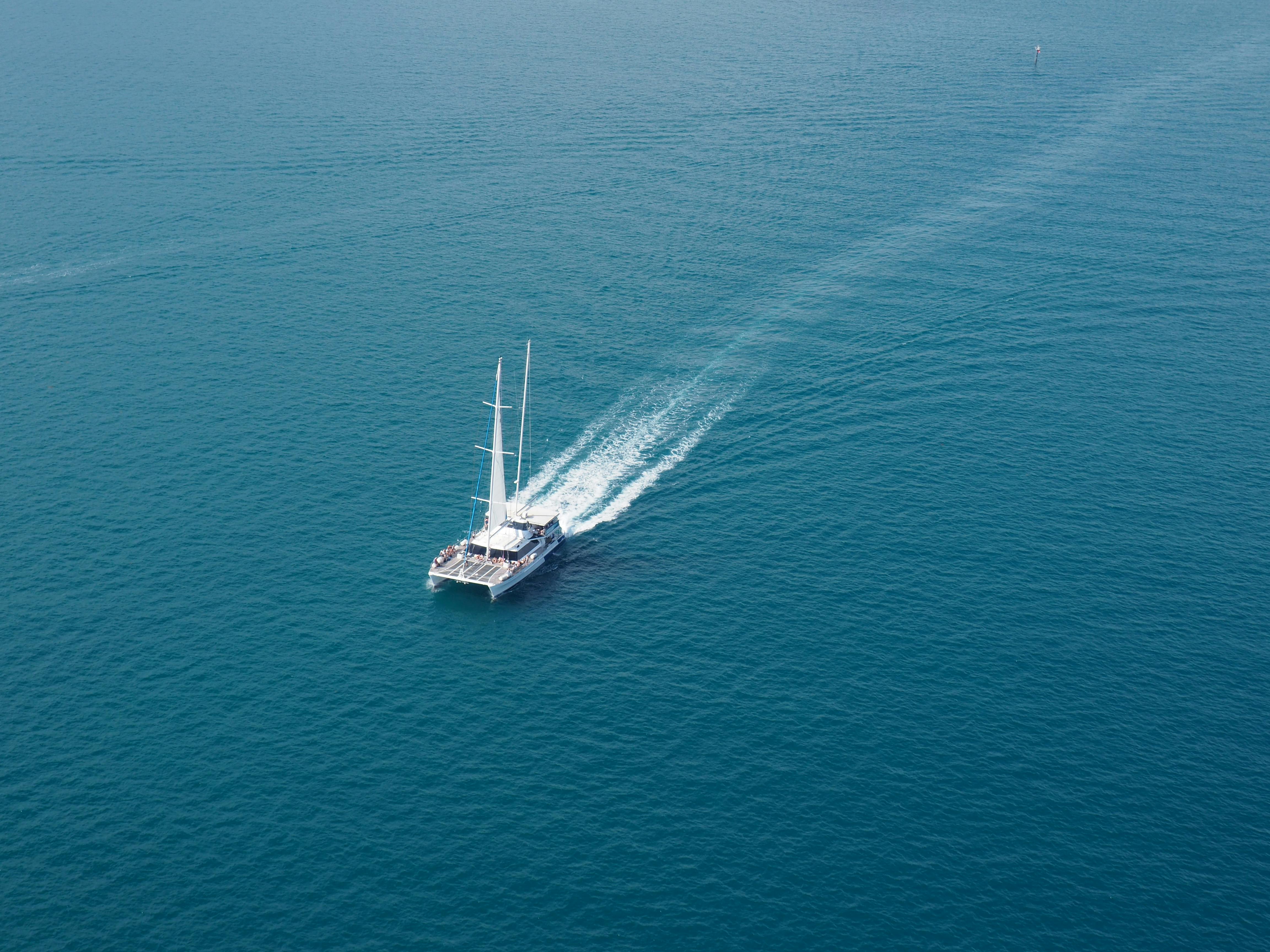 <p>WaveCartx.</p>