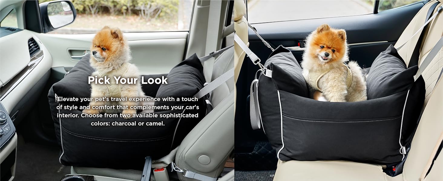 small dog car seat