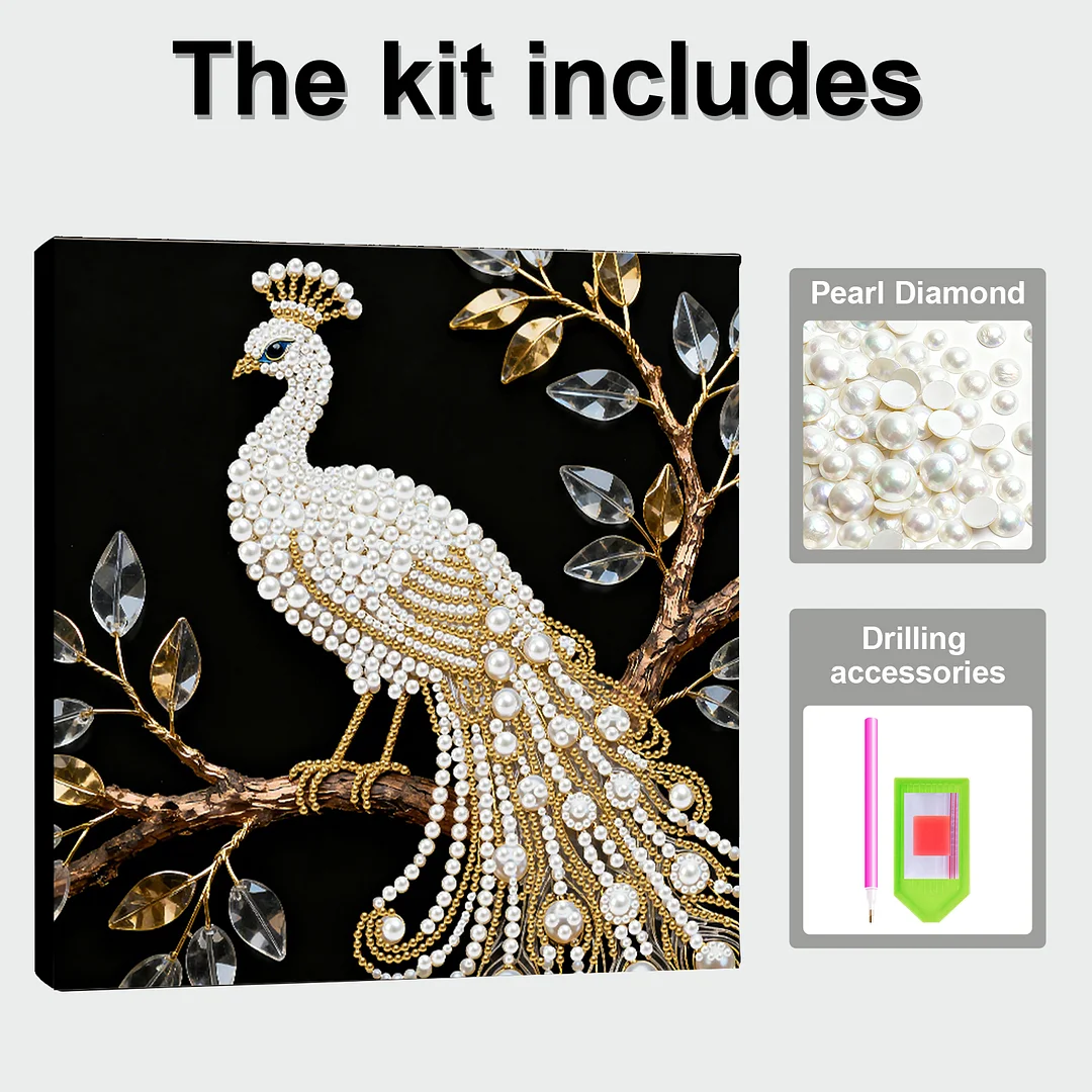 Peacock DIY Pearl Art Diamond Painting Kit for Adult Home Decor 25x25cm With Frame