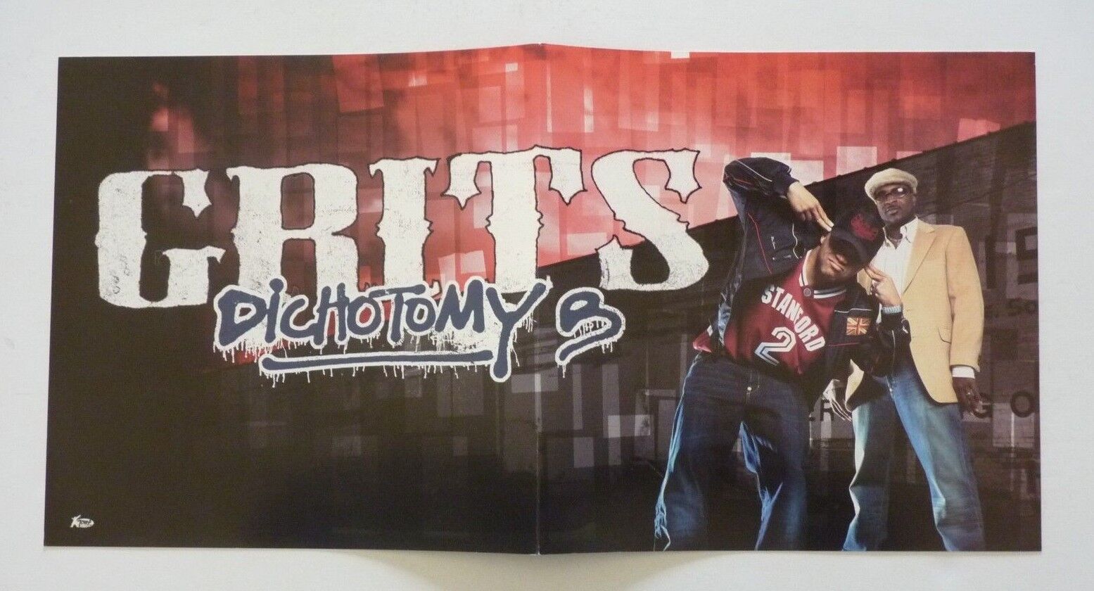 Grits Dichotomy G Promo LP Record Photo Poster painting Flat 12x24 Poster