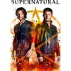 Supernatural-11CT Stamped Cross Stitch 40*60cm tapestrymarket