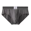 Men's Briefs Seamless Triangle Panties Ice Silk Low Waist Fast Dry Shorts Men Comfortable Sexy Underpants