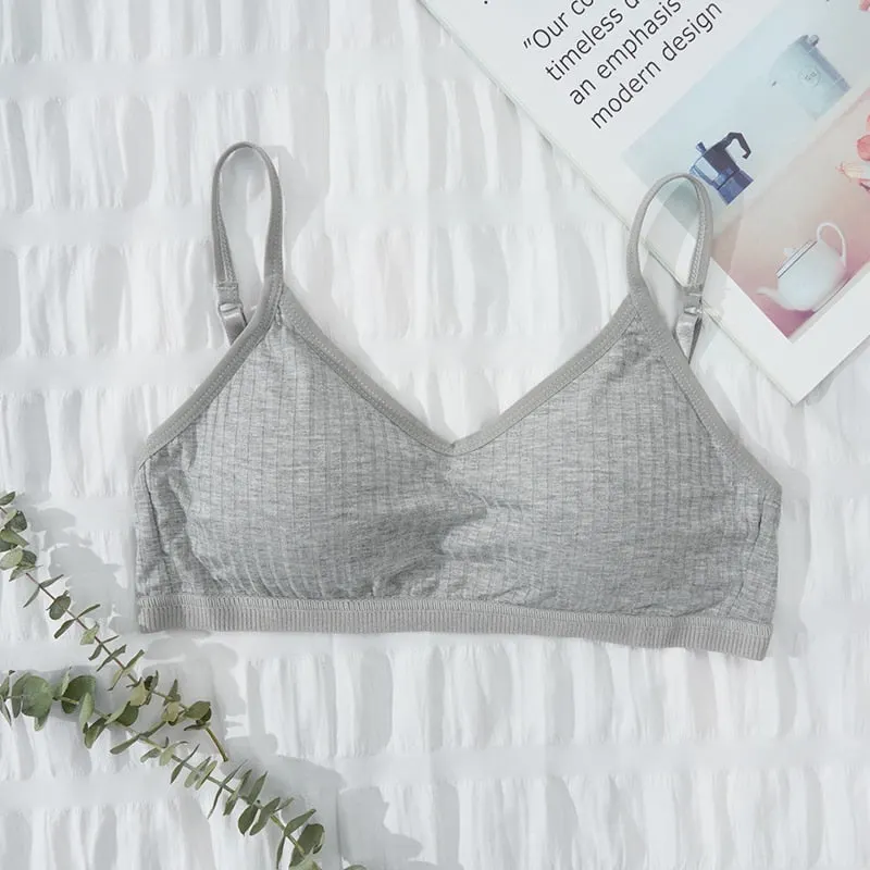 Elastic Gathering Bralette Push Up Bra Summer Spring Anti-light Korean Style Wild Solid Color Tube Top Sexy Wire Free Bra