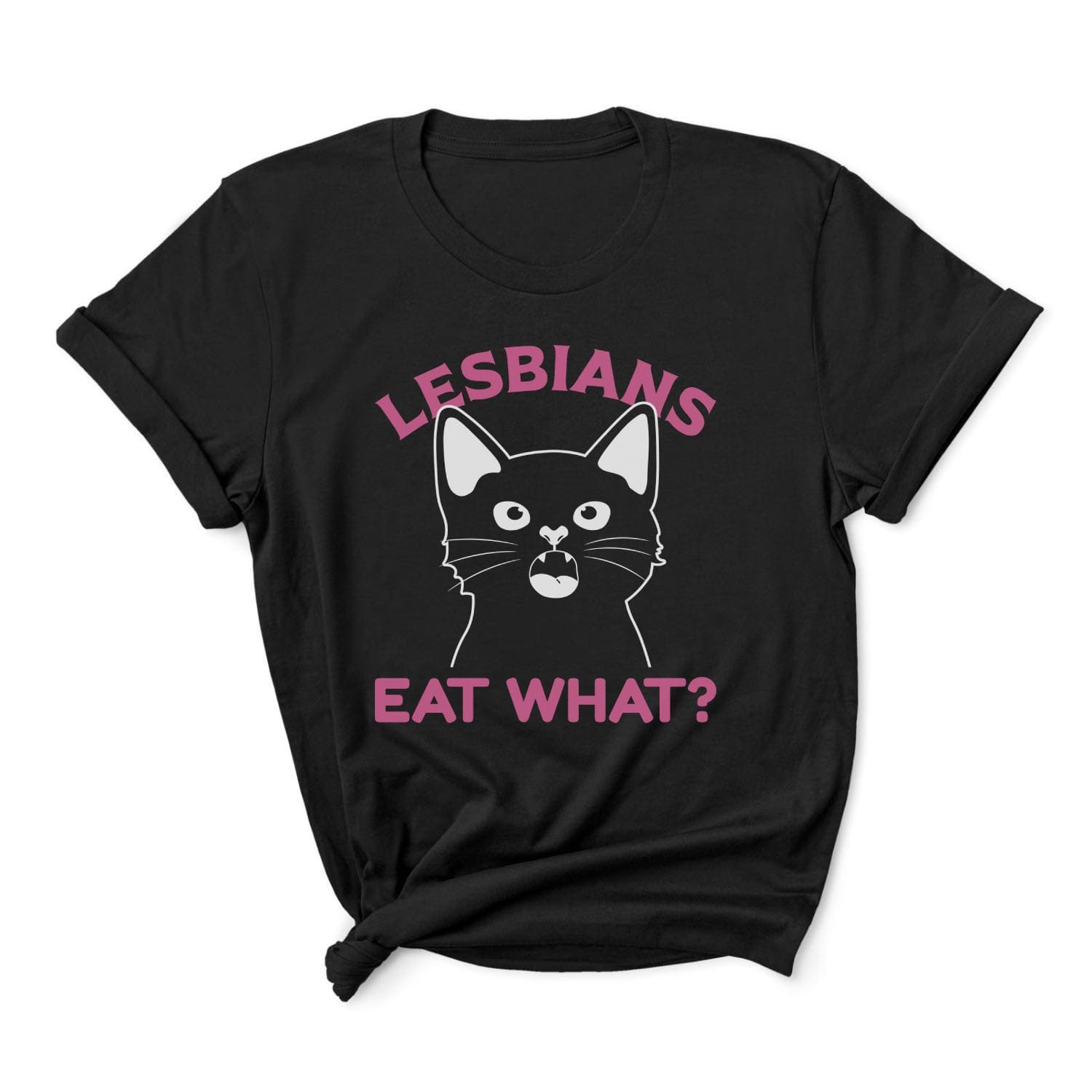 Funny pussy lesbian t-shirt