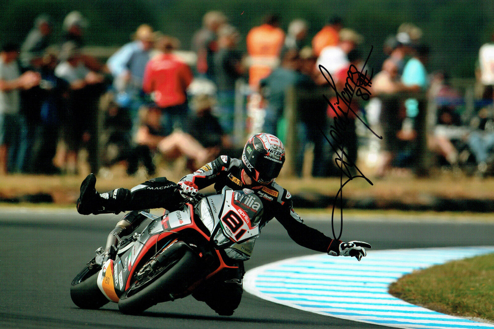 Jordi TORRES SIGNED 12x8 WSBK 2015 Aprilia Race Action Photo Poster painting AFTAL Autograph COA