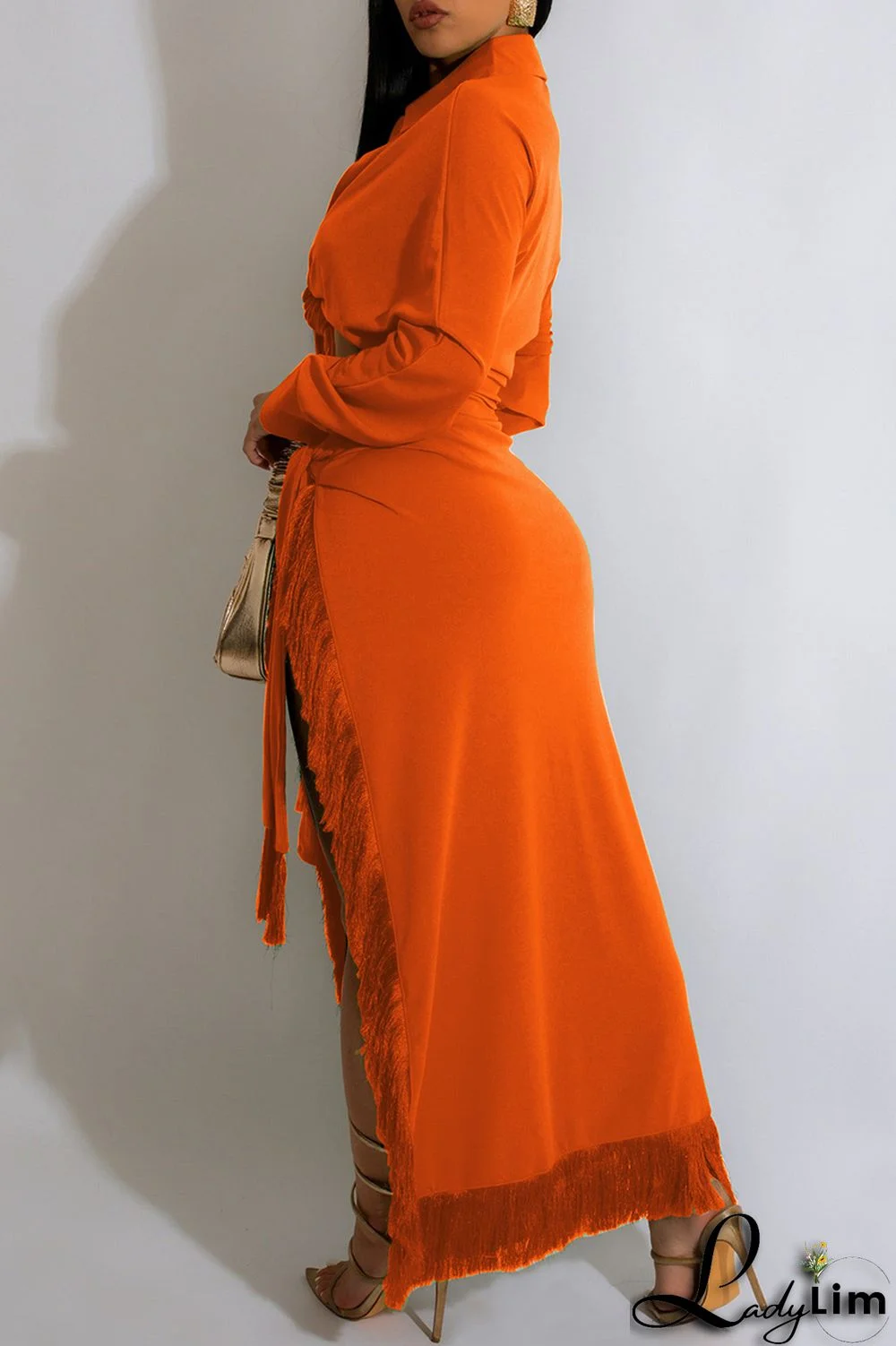 Blue Casual Solid Frenulum Slit Turndown Collar Long Sleeve Two Pieces