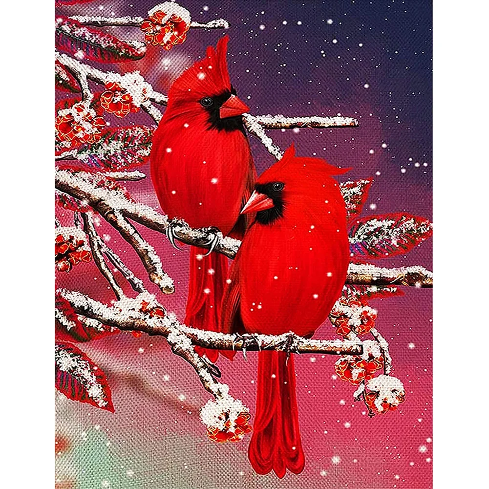 Cardinal-Full Round Diamond Painting-30*40CM