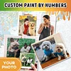 Custom Paint by Numbers Kit