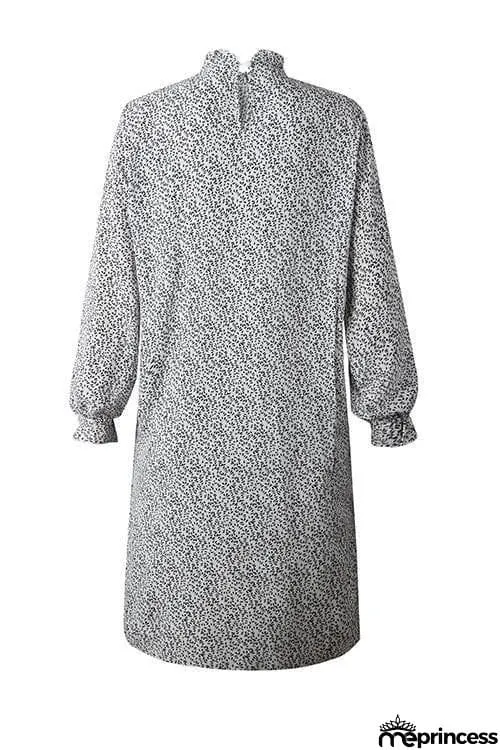 Print Pleated Long Sleeve Dress