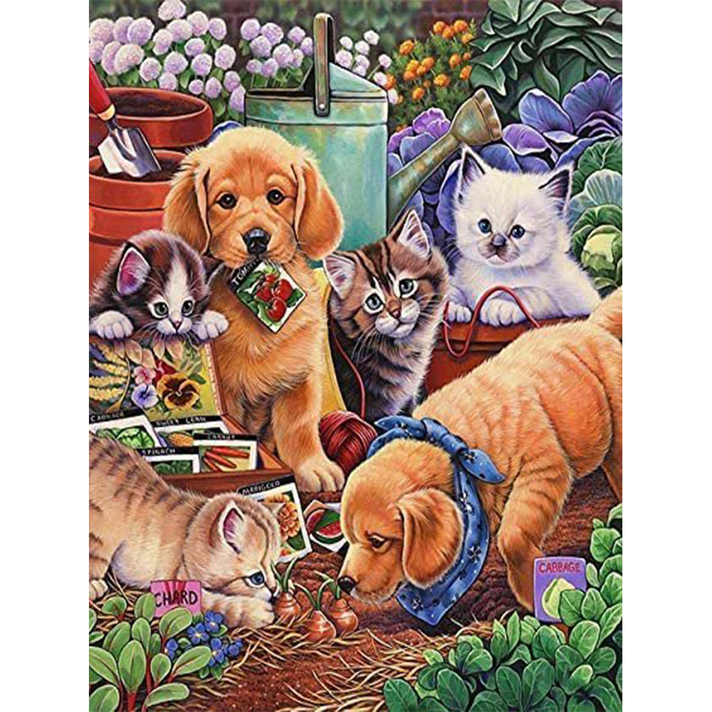 

Little Labrador Dog - Round Drill Diamond Painting - 30*40CM, 501 Original