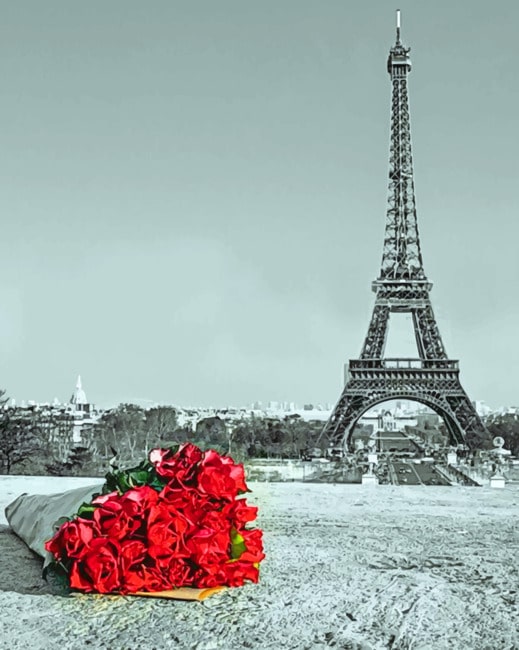 

Red Flowers In Paris – Paint By Numbers - 40*50CM, 501 Original
