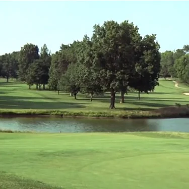 Crystal Bluelinks Bent Grass