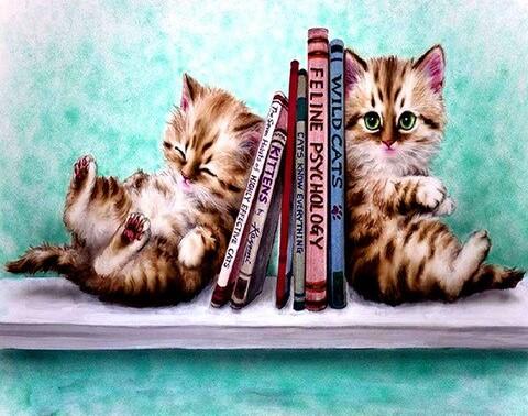 

Naughty Lovely Cats – Paint By Numbers - 40*50CM, 501 Original