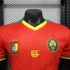 2025 Player Version Cameroon Soccer Jersey Away