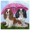Diamond Painting-5D Full Round Drill Dogs(40*40 Cm)