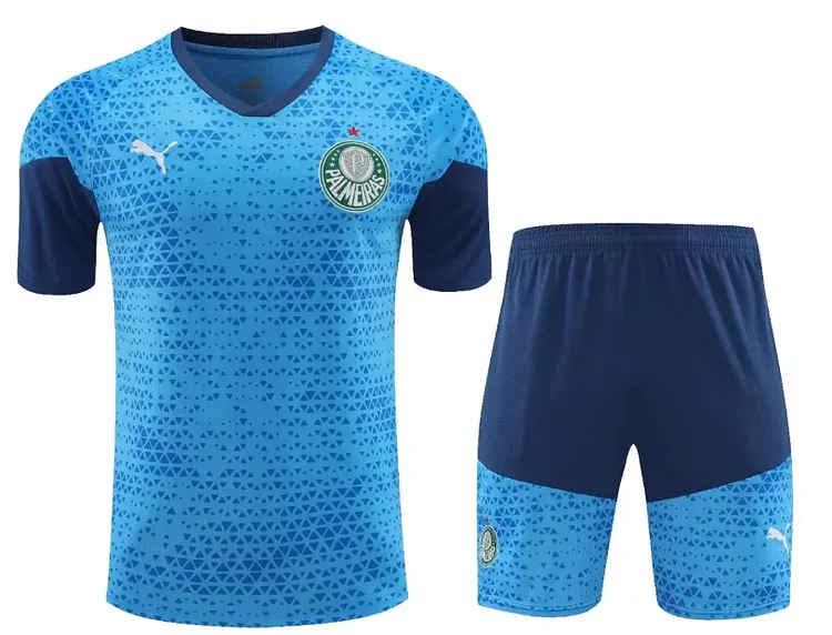 24-25 season Palmeiras adult training suit