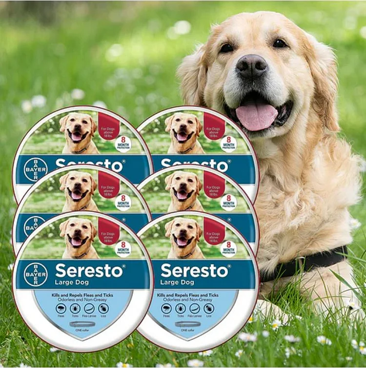 6 Pack Seresto Flea and Tick Prevention Collar for Puppies, 8 Month Prevention