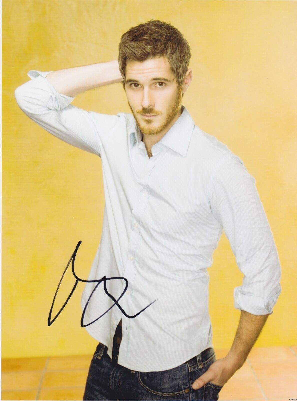 Dave Annable Signed Autographed 8x10 Photo Poster painting Brothers & Sisters COA VD