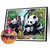 Diamond Painting -DIY Full Square Drill Panda(60*50 CM)