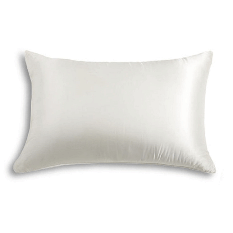 Filled Silk Pillow With Silk Shell-Chouchouhome
