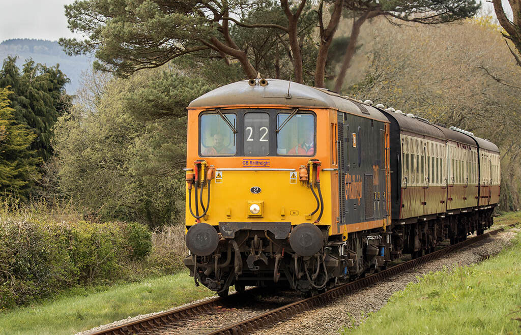 Diesel Train class 73 no 73107 12x8 print picture