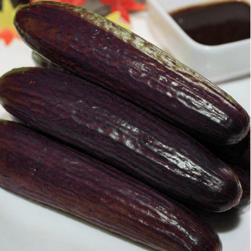 Rare Black Cucumber Seeds