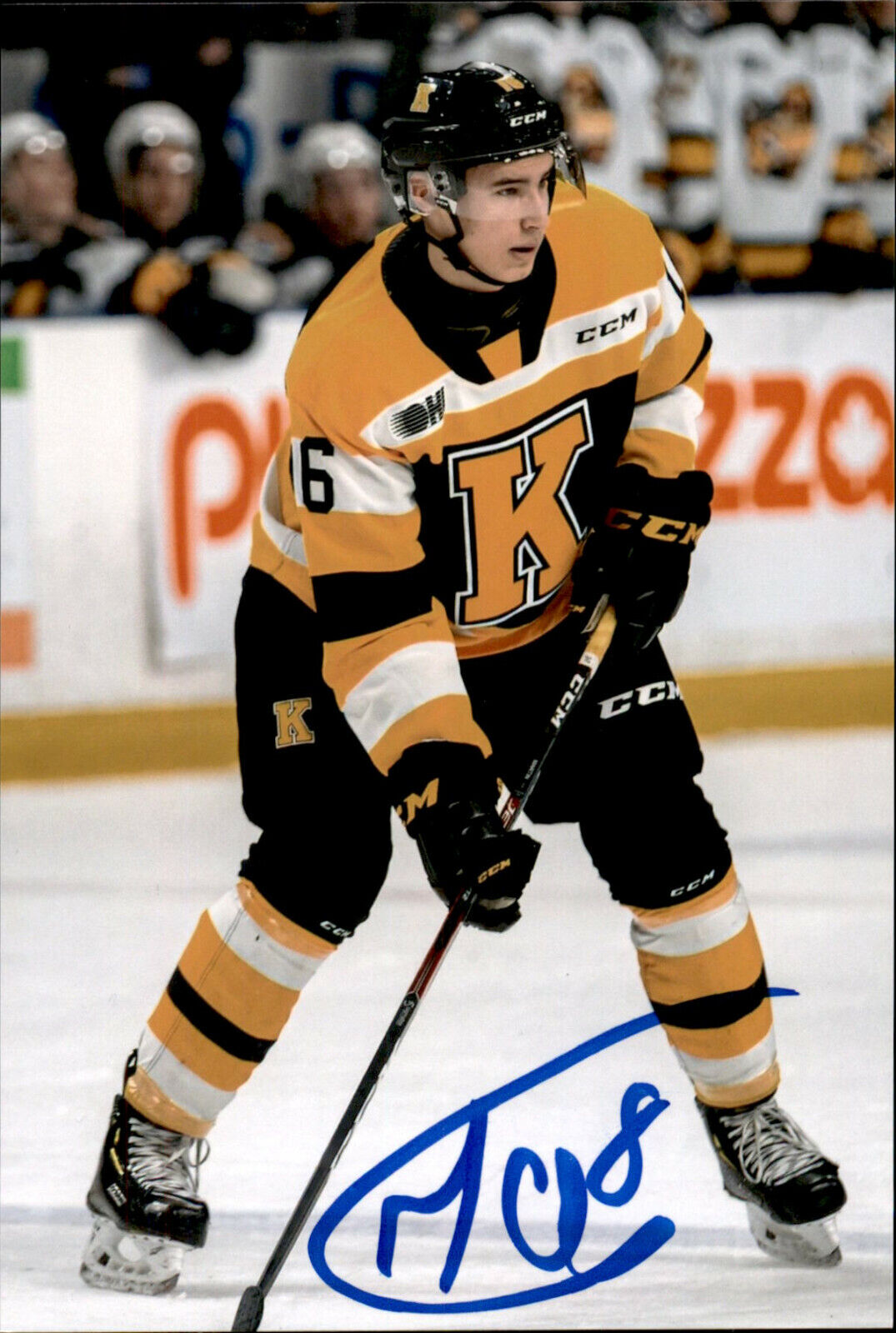 Martin Chromiak SIGNED auto 4x6 Photo Poster painting KINGSTON FRONTENACS / LOS ANGELES KINGS #2