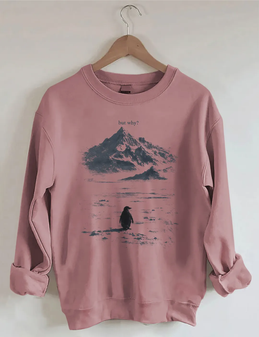 But Why Penguin Sweatshirt