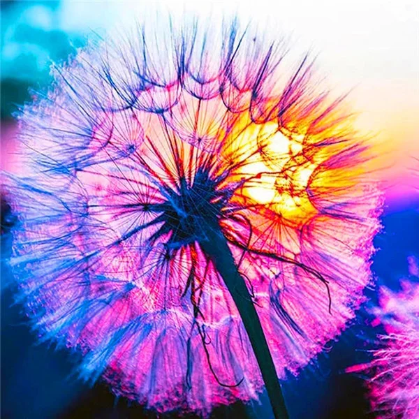 Diamond Painting - Full Round/Square Drill - Dandelion(30*40 - 50*60cm)