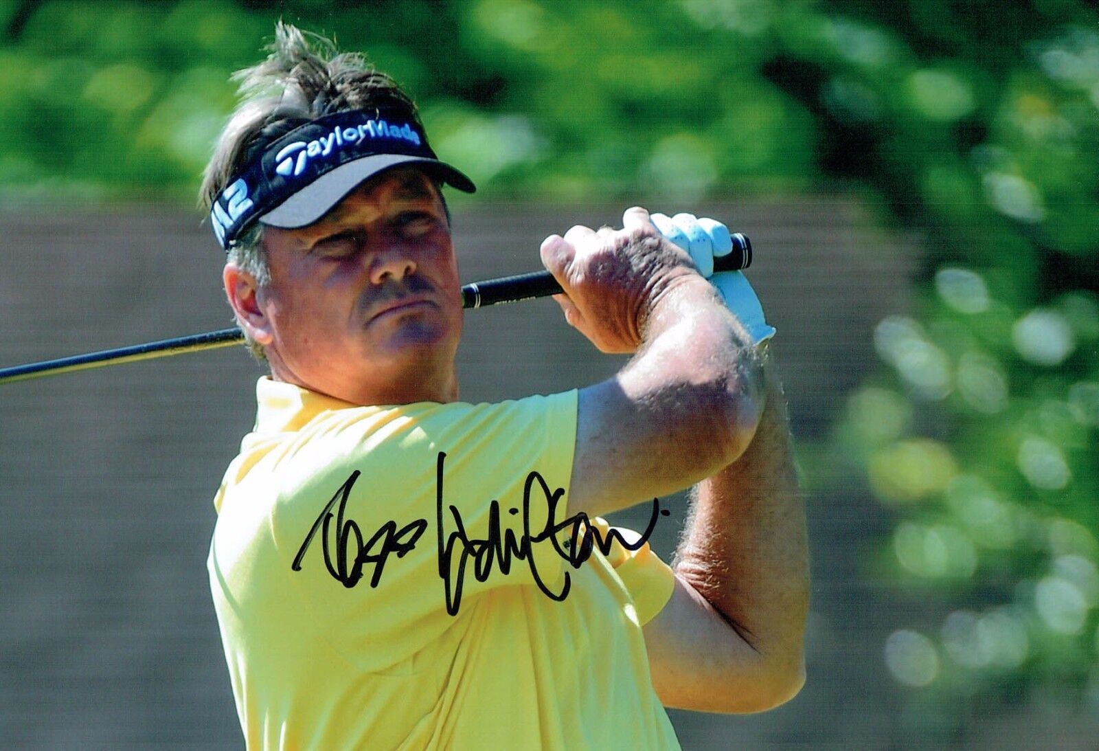 Todd HAMILTON SIGNED Autograph 12x8 Photo Poster painting 1 AFTAL COA PGA Golf Open Winner