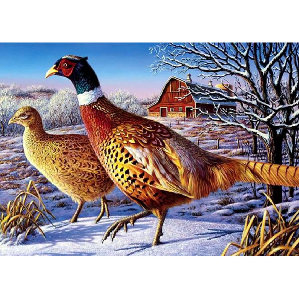 

30*40CM - Round Drill Diamond Painting - Pigeon, 501 Original
