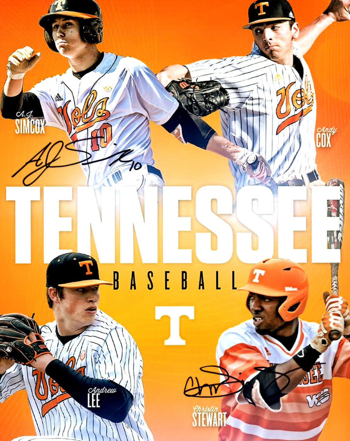 Christin Stewart signed autographed baseball 8x10 Photo Poster painting Tennessee Vols AJ Simcox