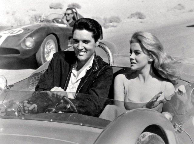 ELVIS PRESLEY & ANN MARGRET 8 x 10 Glossy Photo Poster painting